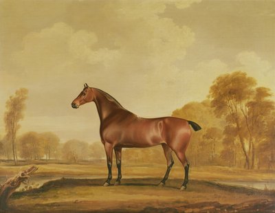 Zillah de Thomas Weaver